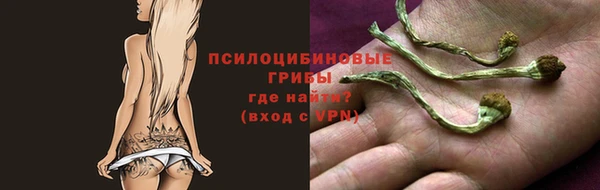 сатива Белоозёрский