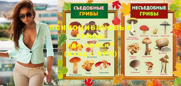 сатива Белоозёрский