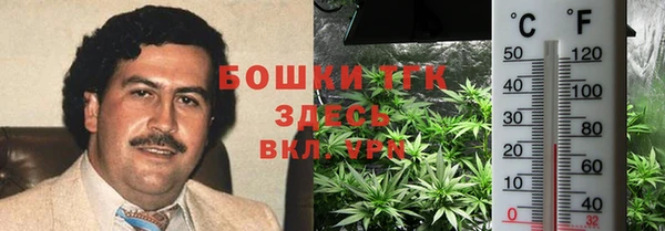 сатива Белоозёрский